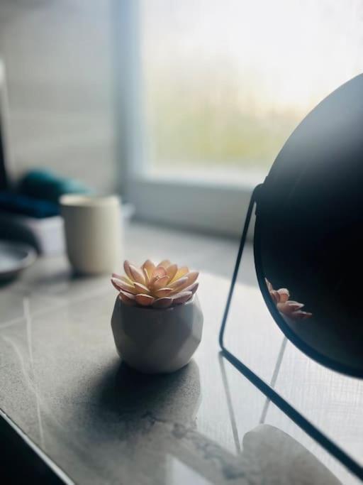 Modern 2 Bed Apartment With Free Parking And Netflix Dawley Eksteriør billede
